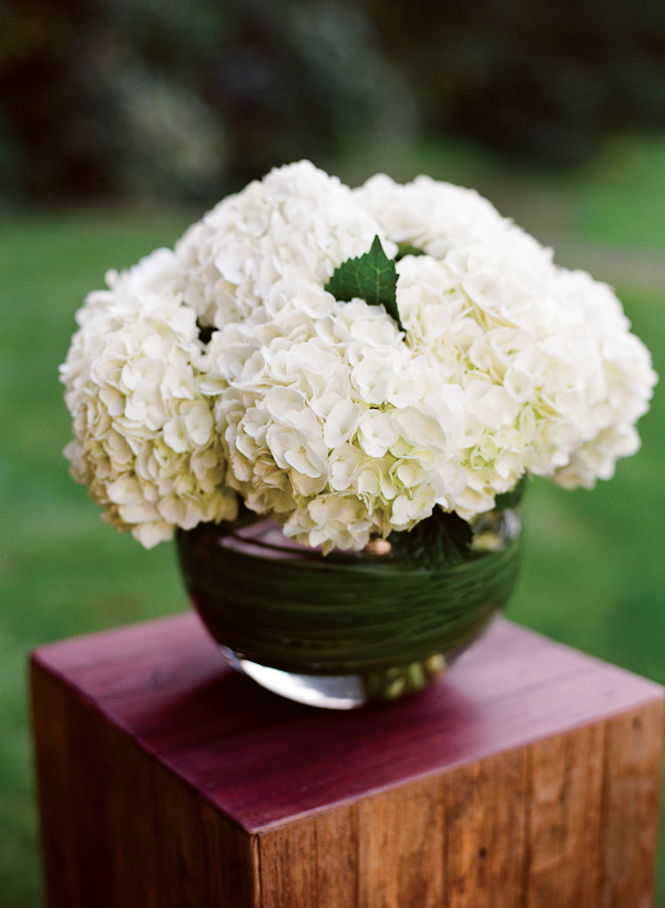 white hydrangea bouquet - photo by San Francisco based wedding photographer Lisa Lefkowitz